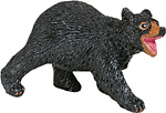 Black Bear cub.jpg